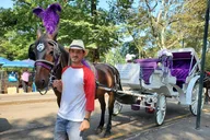 New York City Carriage Ride 55 Min thumbnail 1