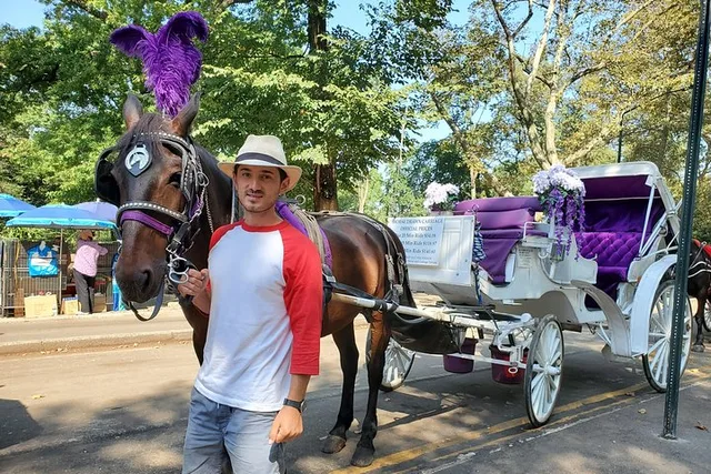 New York City Carriage Ride 55 Min - Image 1