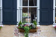 Charleston History Walking Tour thumbnail 4