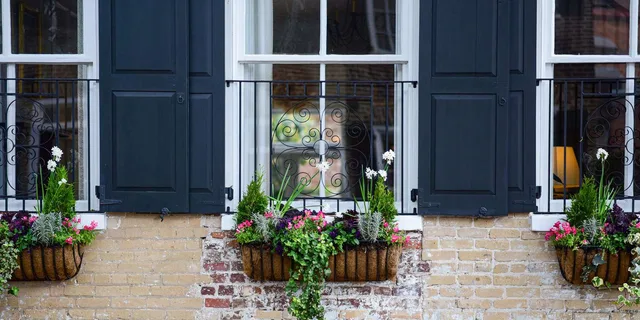 Charleston History Walking Tour - Image 4
