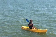 Dallas Kayak Rental with Lesson and Photos thumbnail 4