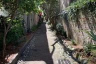 Charleston French Quarter Walking Tour thumbnail 6