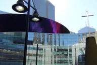Dallas City Highlights Tour thumbnail 5