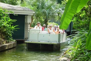 Winter Park Walking and Boat Tour