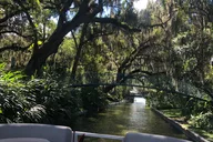 Winter Haven Scenic Pontoon Cruise 1 hr thumbnail 1
