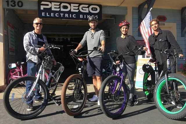 Carlsbad Electric Bike Rental 3 hr - Image 3