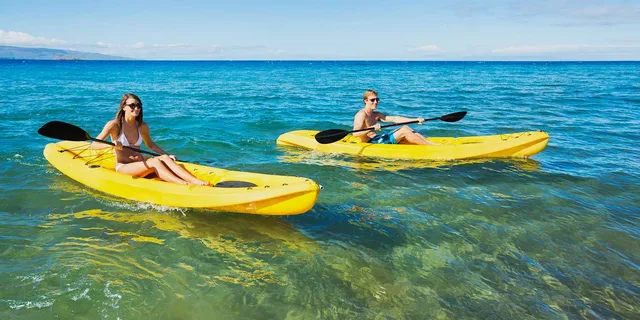 Maui Turtle Town Kayak and Snorkel Tour - Image 1