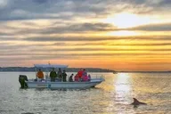 Hilton Head Island Dolphin Cruise at Sunset thumbnail 2