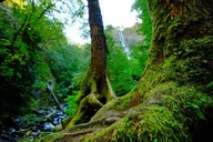 Oregon Columbia River Gorge E-bike Tour thumbnail 6