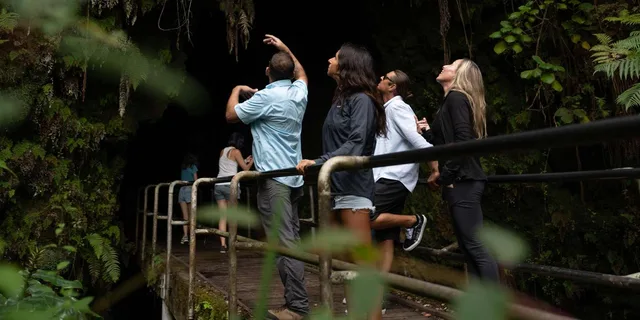 Hawaii Volcanoes Tour with Dinner and Pickup - Image 2