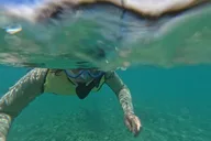 Honolulu Snorkeling Tour at Hanauma Bay 4 hr thumbnail 2