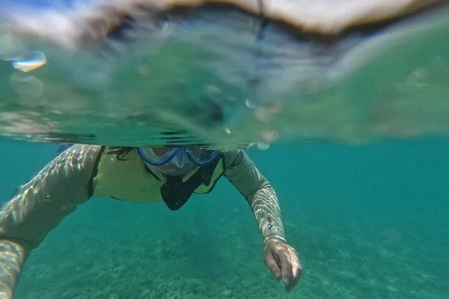 Honolulu Snorkeling Tour at Hanauma Bay 4 hr - Image 2