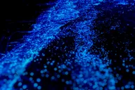 Orlando Bioluminescence Kayak Tour thumbnail 2