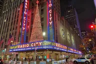 New York City Rockefeller Center Christmas Lights Carriage Ride thumbnail 4