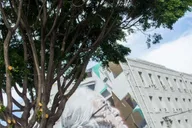 Los Angeles Arts District Bike and Graffiti Tour thumbnail 2