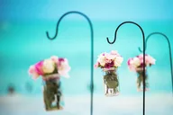 Honolulu Beach Wedding and Photo Session thumbnail 5