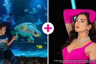 Orlando Madame Tussauds and SEA LIFE Combo Ticket thumbnail 5