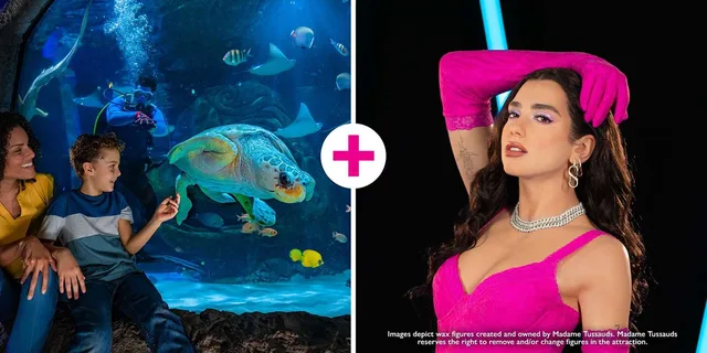 Orlando Madame Tussauds and SEA LIFE Combo Ticket - Image 5