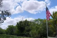 Miami Everglades Small-Group Tour in French 4 hr thumbnail 5