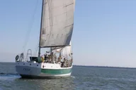 Charleston Schooner Sailing & Dolphin Watch 1.5 hr thumbnail 4