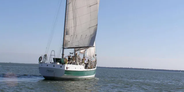 Charleston Schooner Sailing & Dolphin Watch 1.5 hr - Image 4