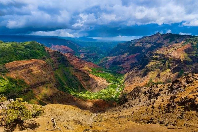 Kauai Shore Excursion to Waimea Canyon - Image 4