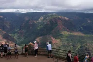 Kauai Waimea Canyon and Koke'e Adventure Tour from Oahu thumbnail 5