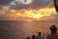 Panama City Beach Dolphin Sunset Cruise thumbnail 5