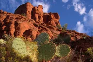 Sedona Red Rocks Outback Tour thumbnail 3