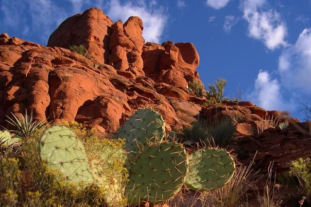 Sedona Red Rocks Outback Tour - Image 3