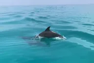Key West Tiki Boat Eco Cruise 2 hr thumbnail 3