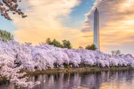 Washington DC Day Tour from New York City thumbnail 1