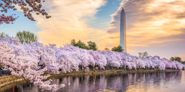 Washington DC Day Tour from New York City - Image 1