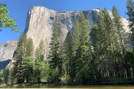 San Francisco Yosemite Private Tour thumbnail 6