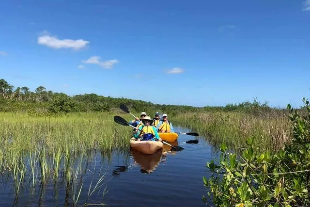 New Smyrna Beach Wildlife Eco Kayak Tour - Image 6