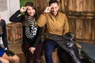 Atlanta Sea Lion Encounter thumbnail 4