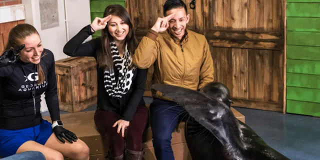 Atlanta Sea Lion Encounter - Image 4