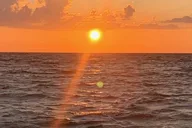 Punta Gorda Boat Tour to Cayo Costa and Cabbage Key thumbnail 6