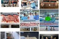 Destin Fishing Charter Experience thumbnail 1