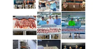 Destin Fishing Charter Experience