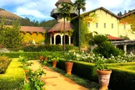 San Francisco Sonoma and Napa Wine Tour thumbnail 3