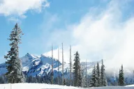 Seattle Hiking Tour in Mount Rainier thumbnail 3