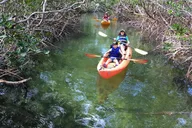 Key Largo Mangrove Kayak Eco Tour thumbnail 5