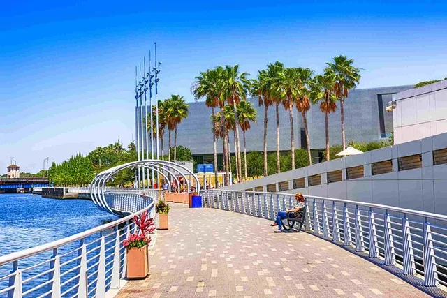 Tampa Private Airport Transfer in SUV - Image 6