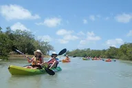 Fort Myers Kayak or SUP Rental at Bunche Beach thumbnail 1