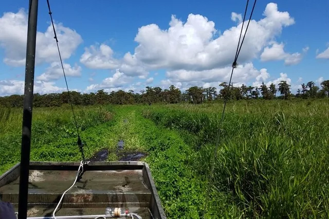 Louisiana Airboat Swamp Tour - Image 2