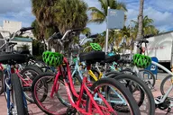 Miami Beach Bicycle Rental thumbnail 5
