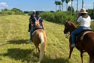 Miami Horseback Riding Tour thumbnail 5