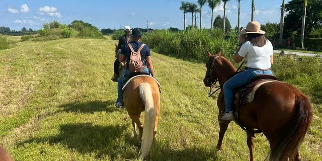 Miami Horseback Riding Tour - Image 5
