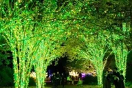 Nashville Holiday Lights Trolley Tour thumbnail 6